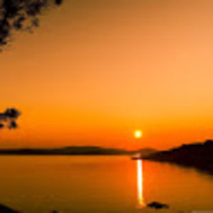 Meet your Posher, Mackenzie